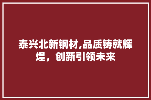 泰兴北新钢材,品质铸就辉煌，创新引领未来