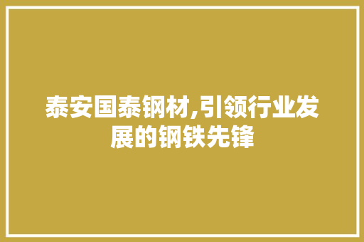 泰安国泰钢材,引领行业发展的钢铁先锋