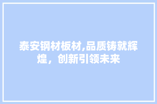 泰安钢材板材,品质铸就辉煌，创新引领未来