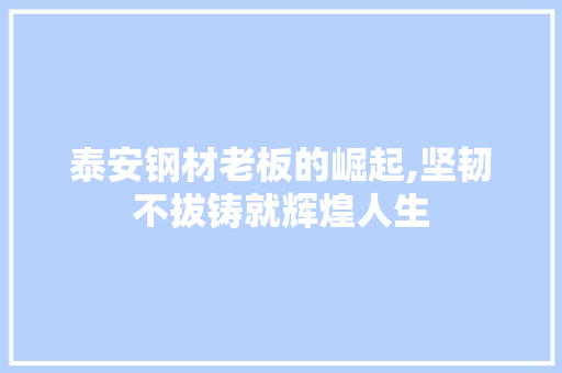 泰安钢材老板的崛起,坚韧不拔铸就辉煌人生