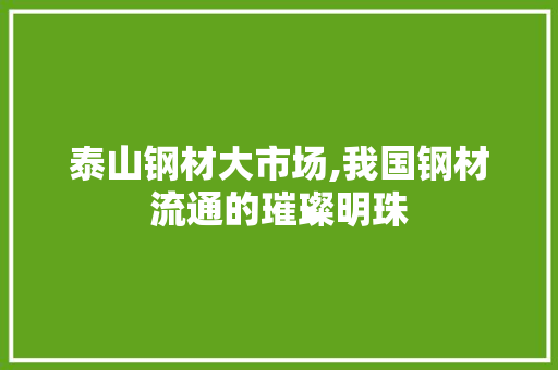 泰山钢材大市场,我国钢材流通的璀璨明珠