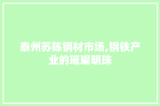 泰州苏陈钢材市场,钢铁产业的璀璨明珠