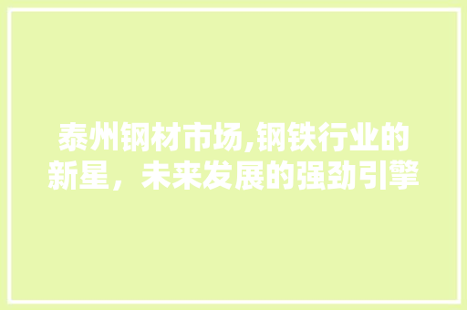 泰州钢材市场,钢铁行业的新星，未来发展的强劲引擎