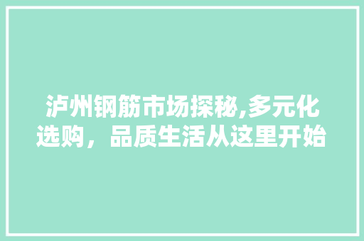 泸州钢筋市场探秘,多元化选购，品质生活从这里开始