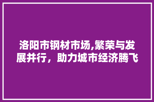 洛阳市钢材市场,繁荣与发展并行，助力城市经济腾飞