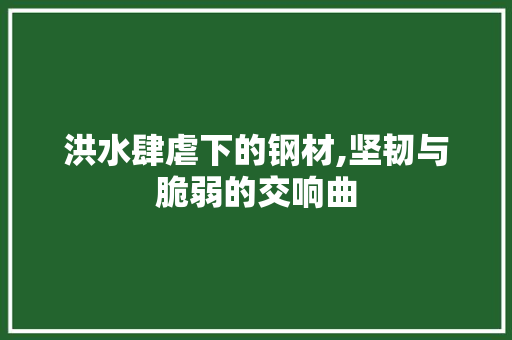 洪水肆虐下的钢材,坚韧与脆弱的交响曲