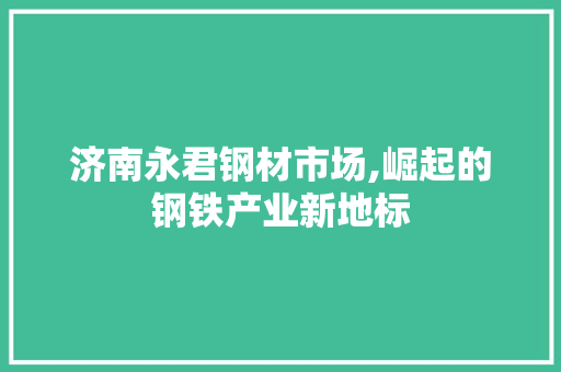 济南永君钢材市场,崛起的钢铁产业新地标