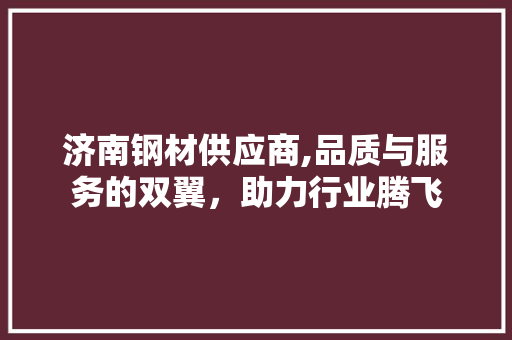 济南钢材供应商,品质与服务的双翼，助力行业腾飞
