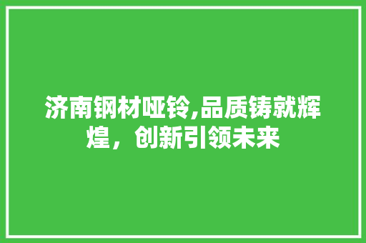 济南钢材哑铃,品质铸就辉煌，创新引领未来