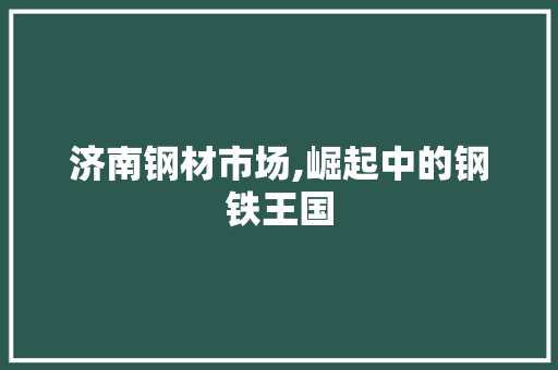 济南钢材市场,崛起中的钢铁王国