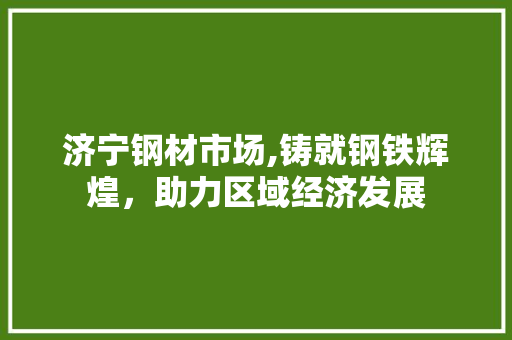 济宁钢材市场,铸就钢铁辉煌，助力区域经济发展