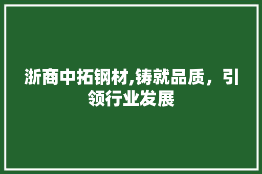 浙商中拓钢材,铸就品质，引领行业发展