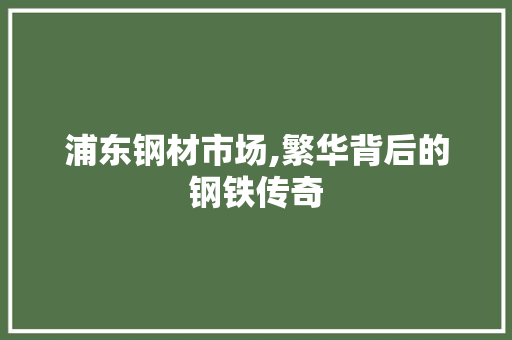 浦东钢材市场,繁华背后的钢铁传奇 景观设计