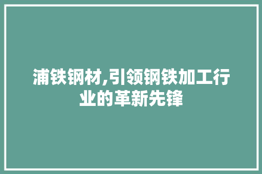 浦铁钢材,引领钢铁加工行业的革新先锋