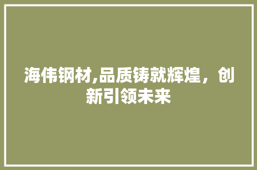海伟钢材,品质铸就辉煌，创新引领未来