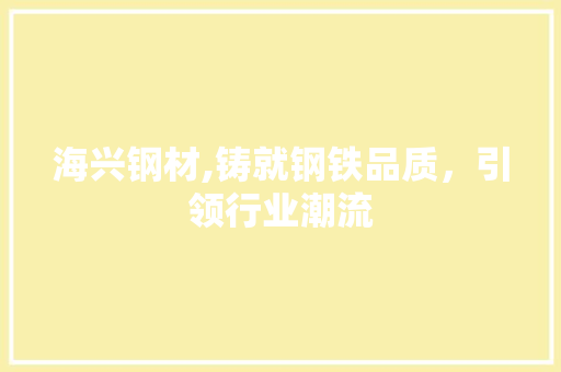 海兴钢材,铸就钢铁品质，引领行业潮流