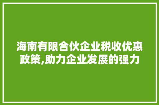 海南有限合伙企业税收优惠政策,助力企业发展的强力引擎