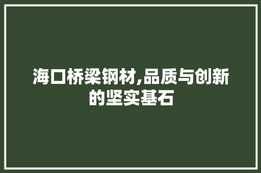 海口桥梁钢材,品质与创新的坚实基石
