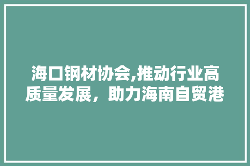 海口钢材协会,推动行业高质量发展，助力海南自贸港建设