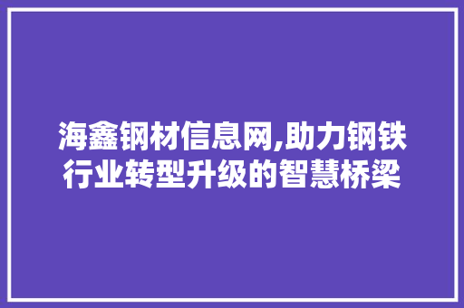 海鑫钢材信息网,助力钢铁行业转型升级的智慧桥梁