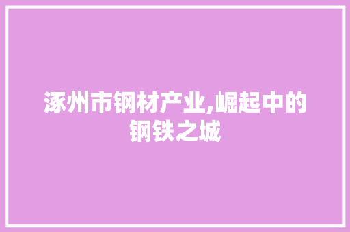 涿州市钢材产业,崛起中的钢铁之城