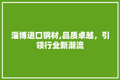 淄博进口钢材,品质卓越，引领行业新潮流