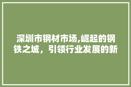 深圳市钢材市场,崛起的钢铁之城，引领行业发展的新风向