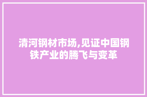 清河钢材市场,见证中国钢铁产业的腾飞与变革