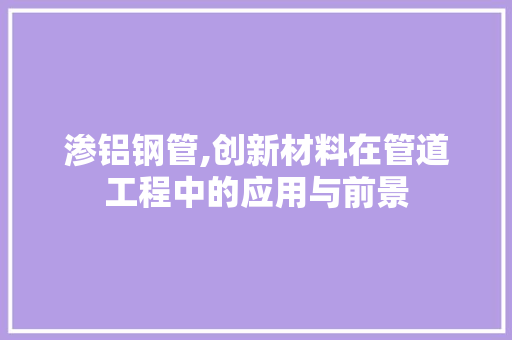 渗铝钢管,创新材料在管道工程中的应用与前景