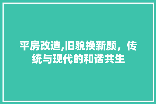 平房改造,旧貌换新颜，传统与现代的和谐共生