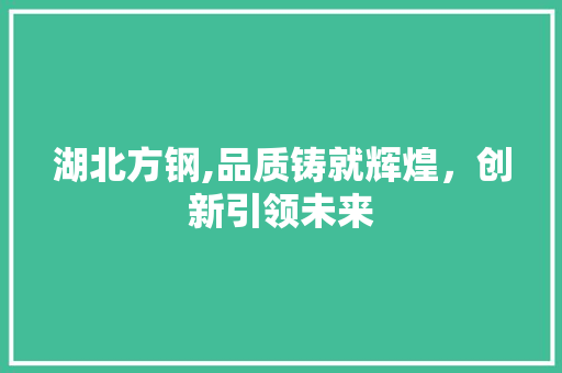 湖北方钢,品质铸就辉煌，创新引领未来