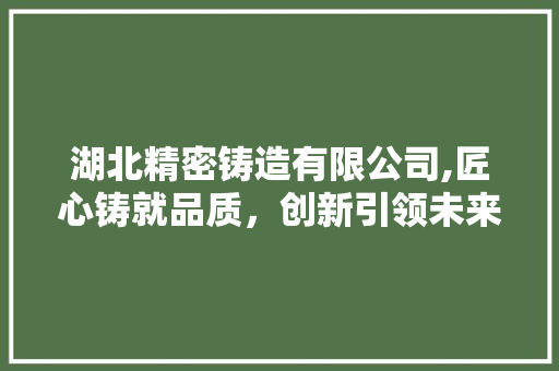 湖北精密铸造有限公司,匠心铸就品质，创新引领未来