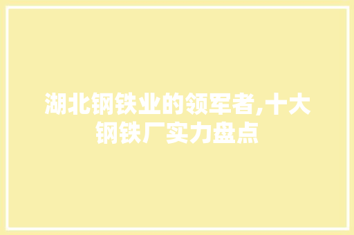湖北钢铁业的领军者,十大钢铁厂实力盘点