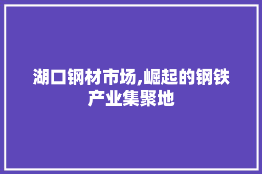 湖口钢材市场,崛起的钢铁产业集聚地 景观设计