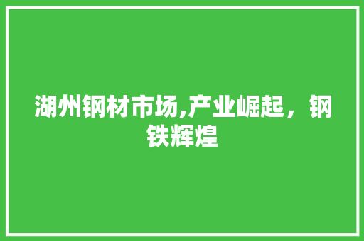 湖州钢材市场,产业崛起，钢铁辉煌