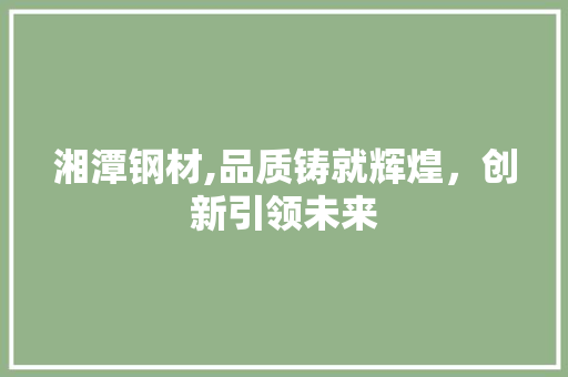 湘潭钢材,品质铸就辉煌，创新引领未来