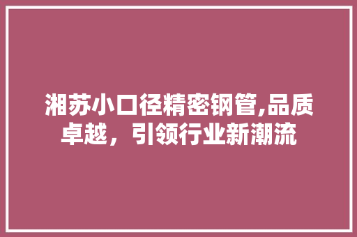 湘苏小口径精密钢管,品质卓越，引领行业新潮流