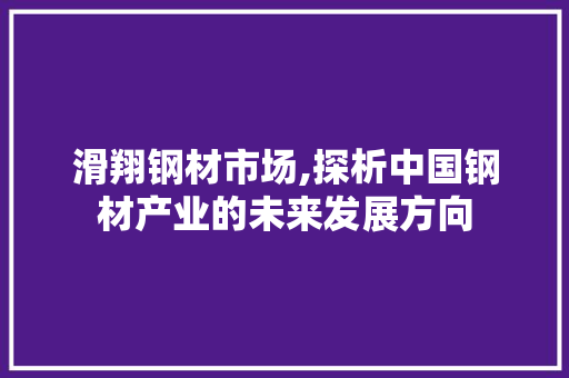 滑翔钢材市场,探析中国钢材产业的未来发展方向