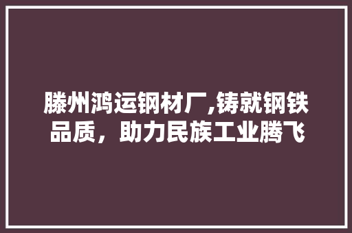 滕州鸿运钢材厂,铸就钢铁品质,助力民族工业腾飞 建筑设计 滕州鸿运钢材厂,铸就钢铁品质,助力民族工业腾飞 建筑设计