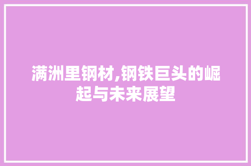 满洲里钢材,钢铁巨头的崛起与未来展望
