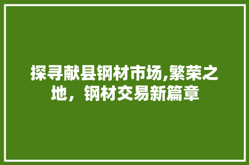 探寻献县钢材市场,繁荣之地，钢材交易新篇章