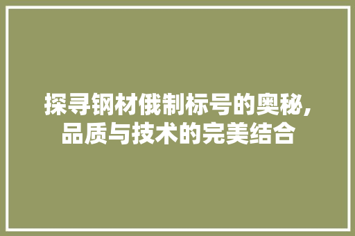 探寻钢材俄制标号的奥秘,品质与技术的完美结合