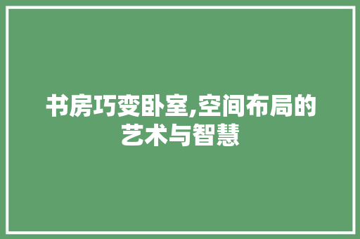书房巧变卧室,空间布局的艺术与智慧