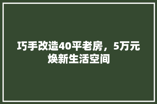 巧手改造40平老房，5万元焕新生活空间