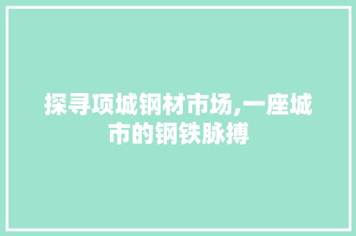 探寻项城钢材市场,一座城市的钢铁脉搏