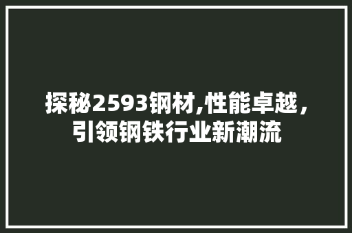 探秘2593钢材,性能卓越，引领钢铁行业新潮流