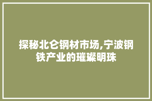 探秘北仑钢材市场,宁波钢铁产业的璀璨明珠