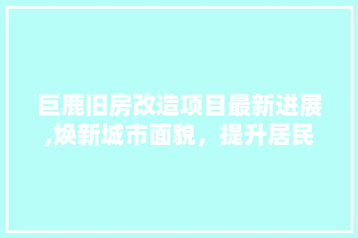 巨鹿旧房改造项目最新进展,焕新城市面貌，提升居民生活品质