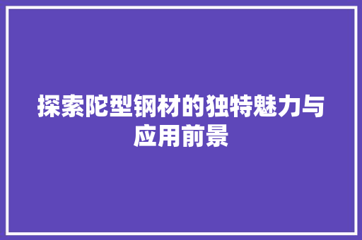 探索陀型钢材的独特魅力与应用前景