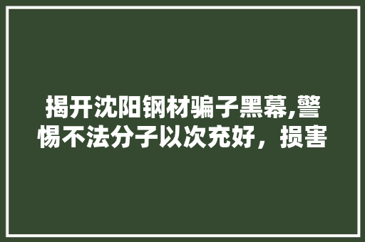 揭开沈阳钢材骗子黑幕,警惕不法分子以次充好，损害消费者权益